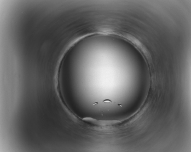 X0000089881432200707051202