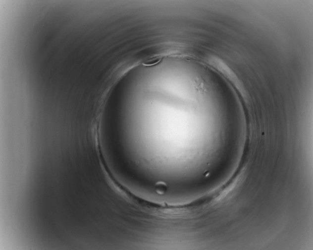 X0000089881433200707051202