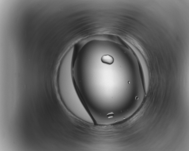 X0000089881434200707051202