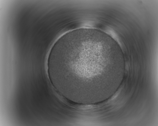 X0000089881435200707051202