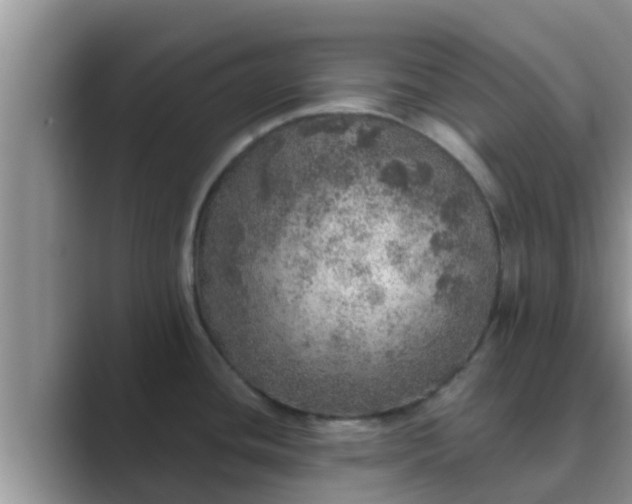 X0000089881436200707051202