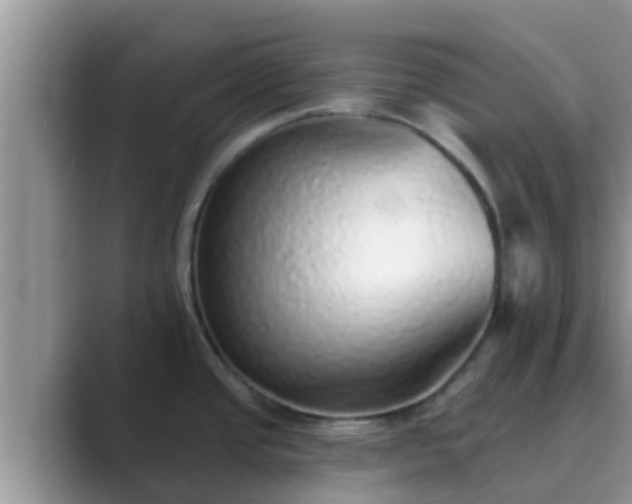 X0000089881437200707051202