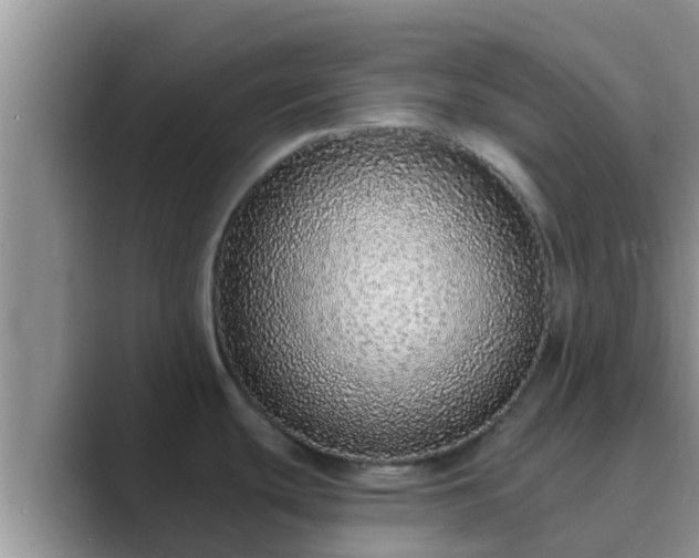 X0000089881439200707051202