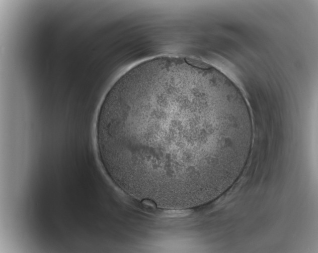 X0000089881440200707051202