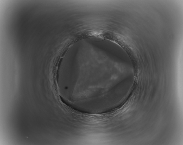 X0000089881441200707051201