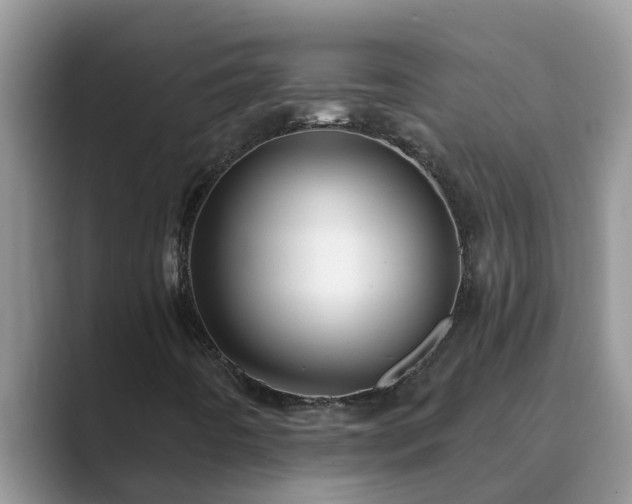 X0000089881442200707051201