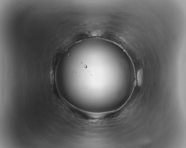 X0000089881443200707051201