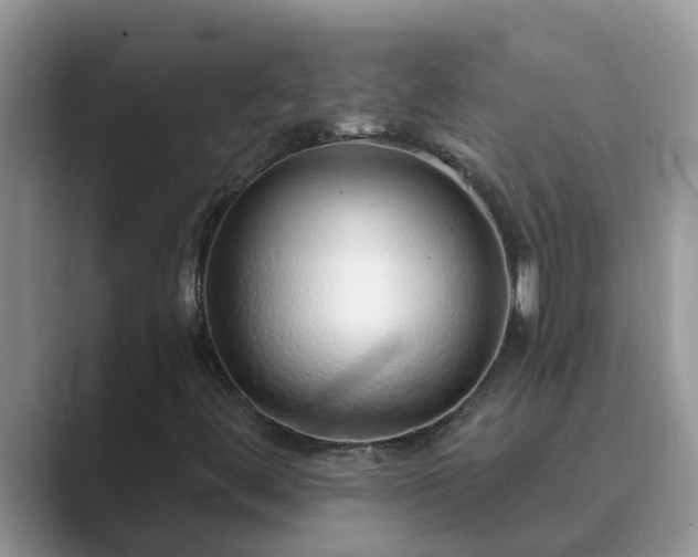 X0000089881444200707051201