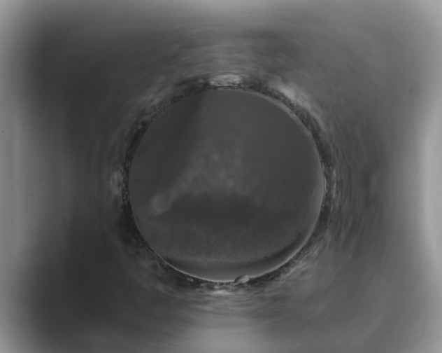 X0000089881445200707051201