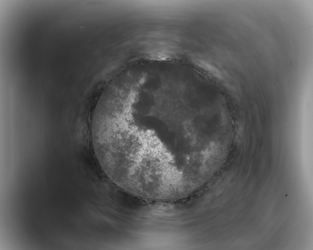 X0000089881446200707051201