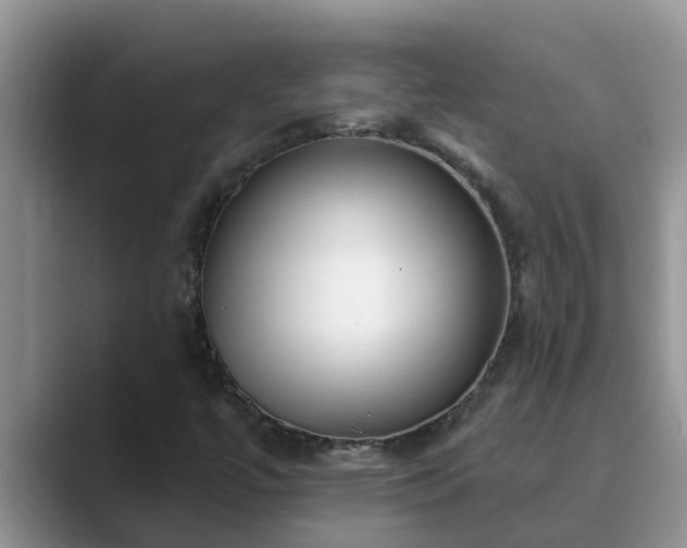 X0000089881447200707051201