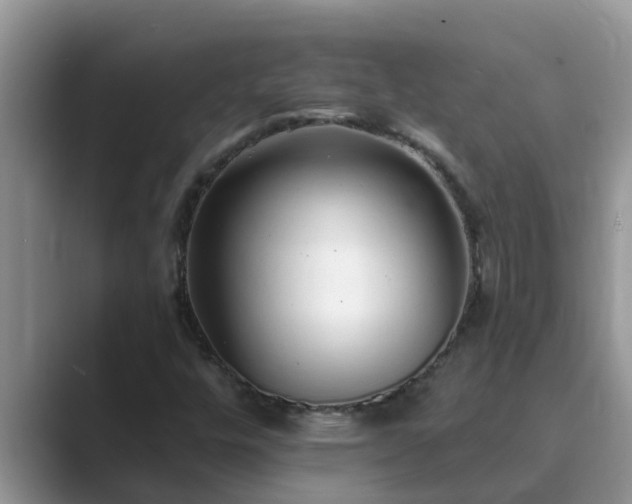 X0000089881448200707051201