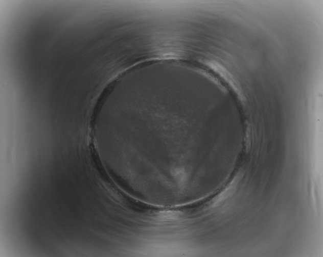 X0000089881449200707051201