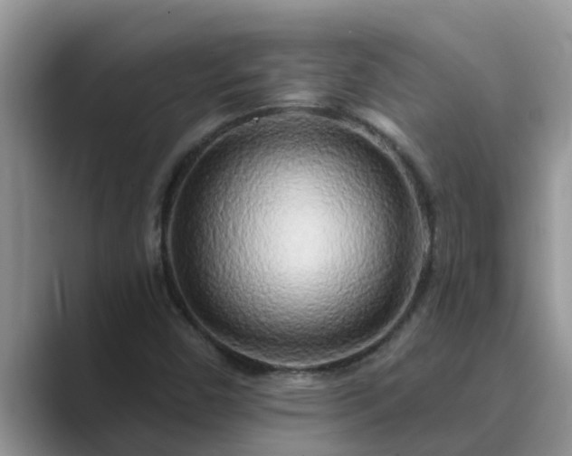 X0000089881450200707051201