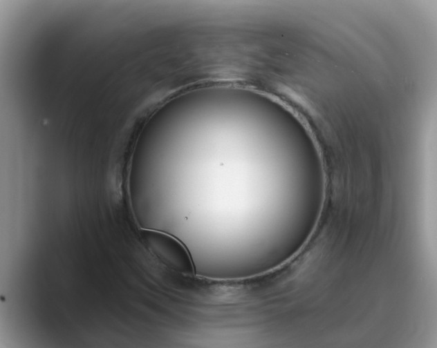 X0000089881451200707051201