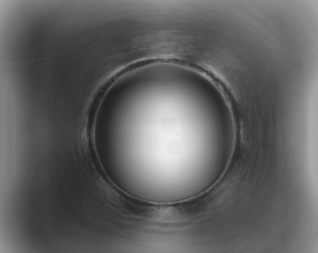 X0000089881452200707051201