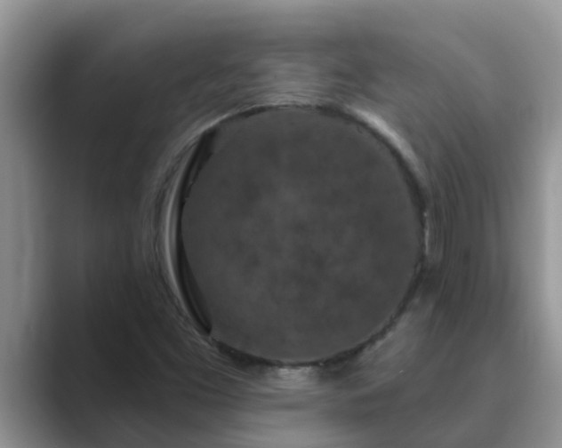 X0000089881453200707051201