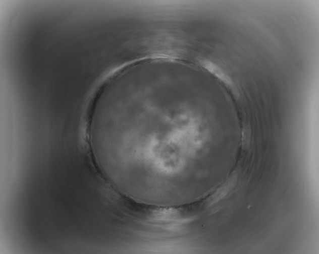 X0000089881454200707051201