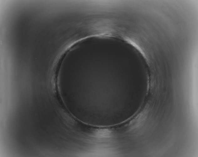 X0000089881455200707051201