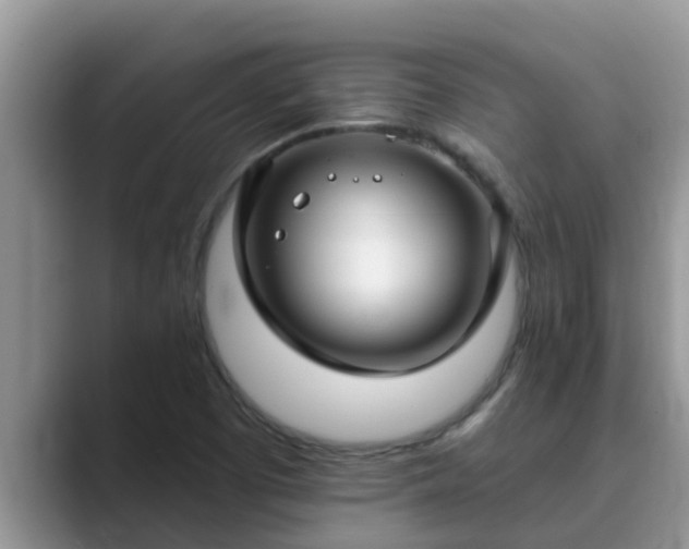 X0000089881457200707051201