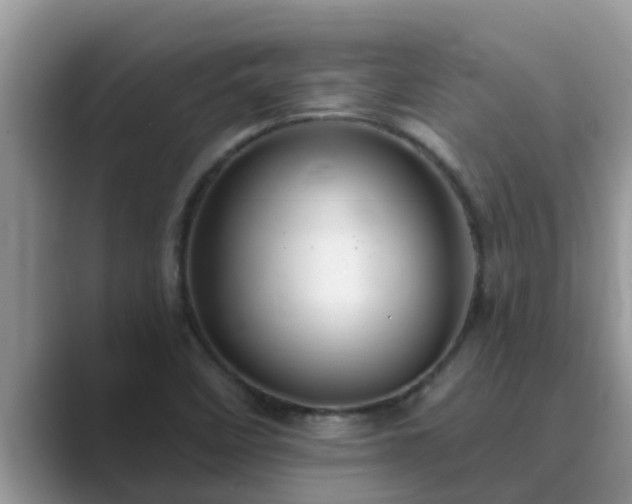 X0000089881458200707051201