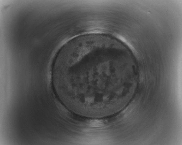 X0000089881459200707051201