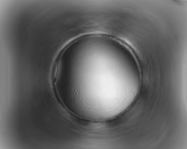 X0000089881460200707051201