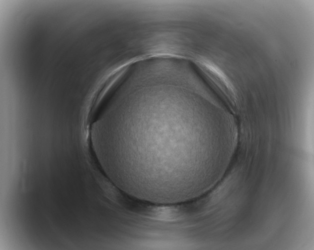 X0000089881461200707051201