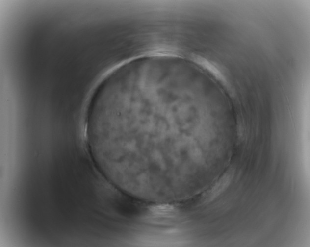 X0000089881462200707051201