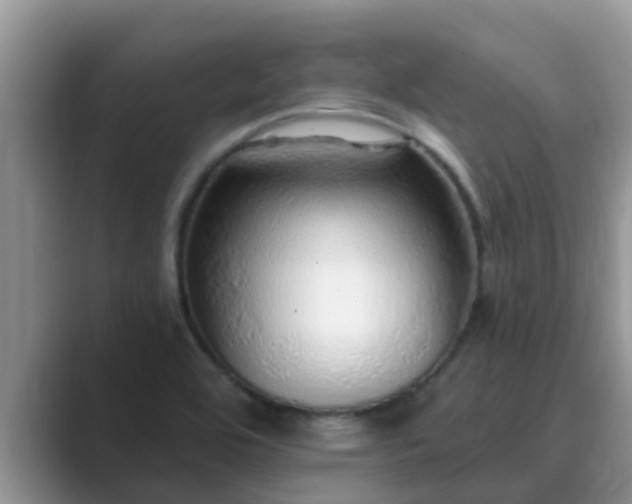 X0000089881464200707051201