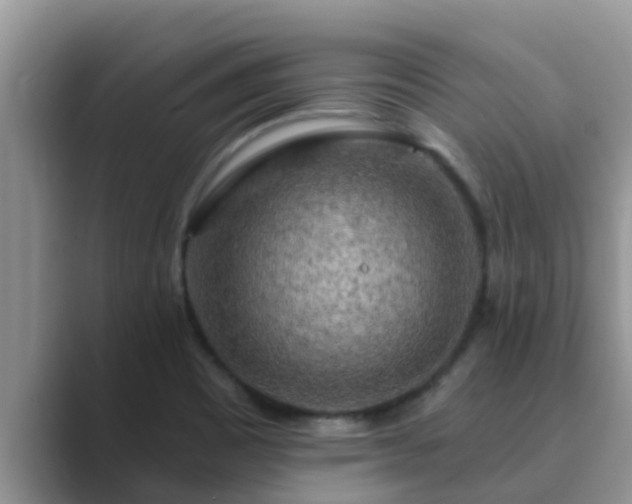 X0000089881465200707051201