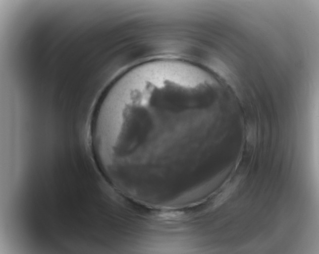 X0000089881466200707051201