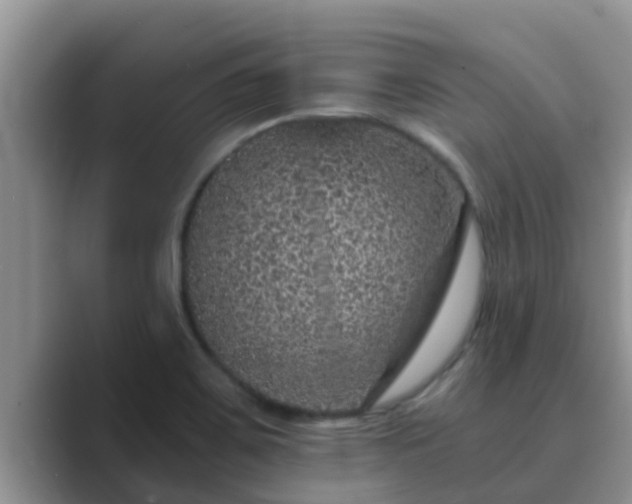 X0000089881467200707051201