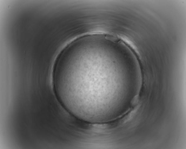 X0000089881469200707051201