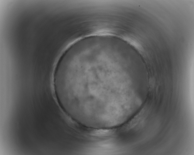 X0000089881470200707051201