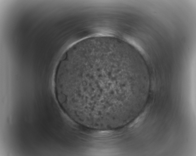 X0000089881471200707051201