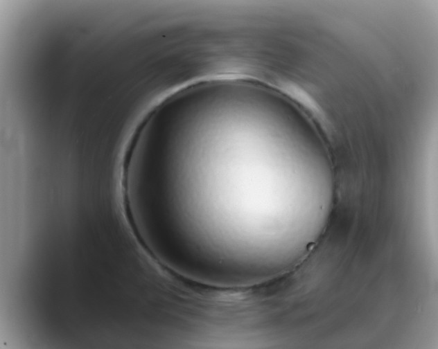 X0000089881472200707051201