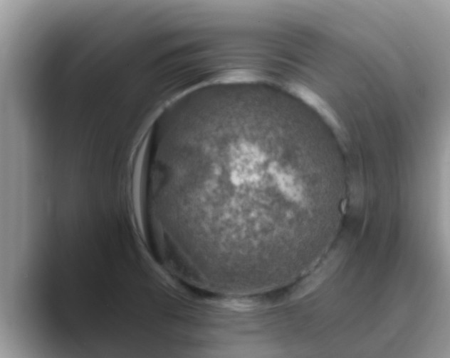 X0000089881473200707051201