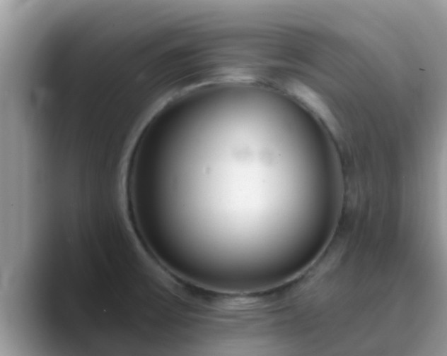 X0000089881475200707051201