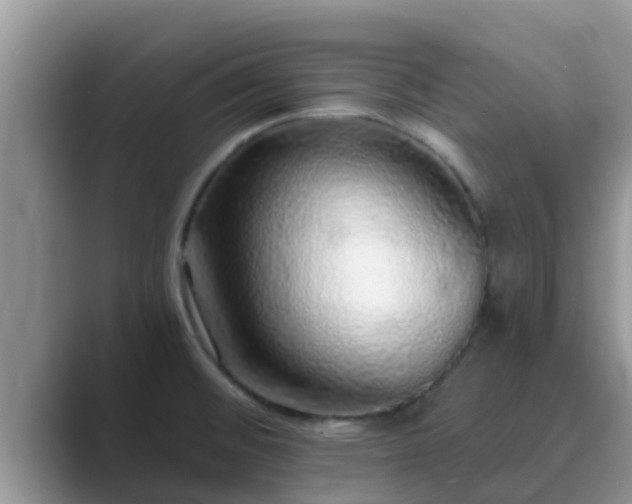 X0000089881476200707051201