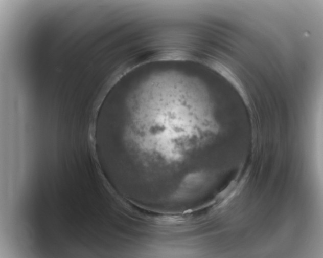 X0000089881481200707051201