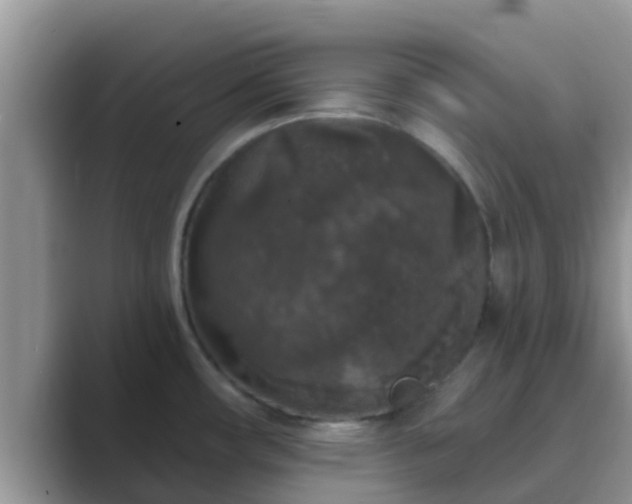 X0000089881482200707051201