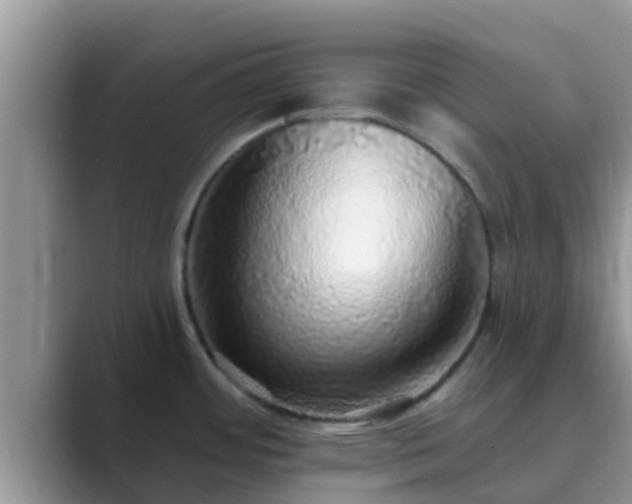 X0000089881484200707051201