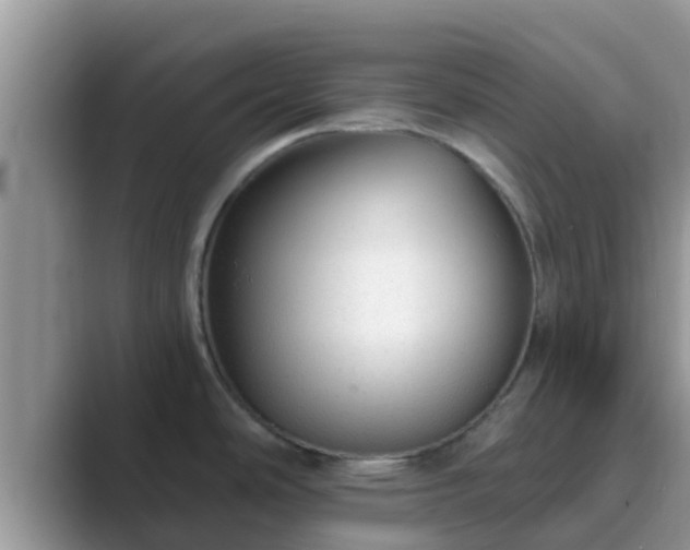 X0000089881486200707051201