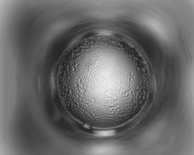 X0000089881487200707051201