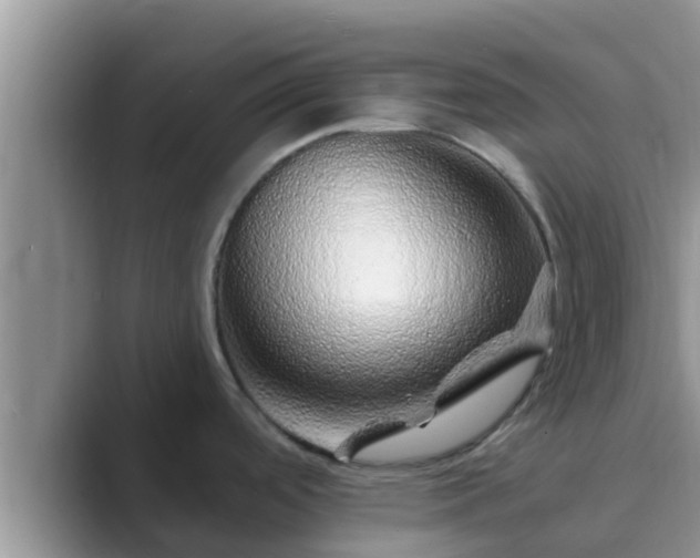 X0000089881488200707051201