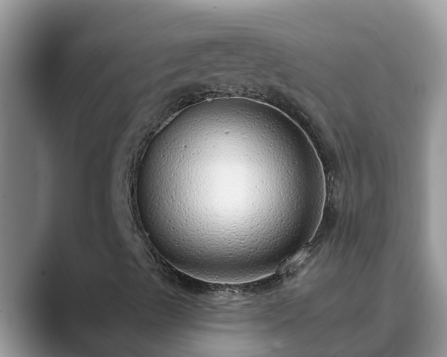 X0000089881489200707051200