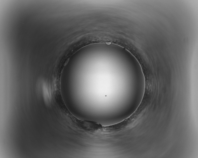 X0000089881490200707051200