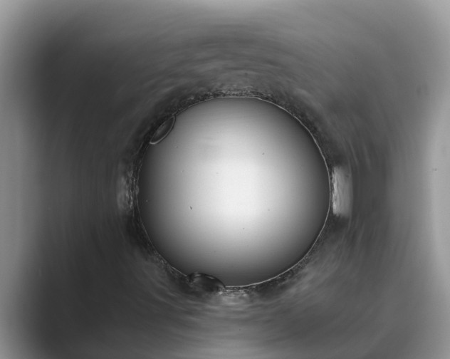 X0000089881491200707051200