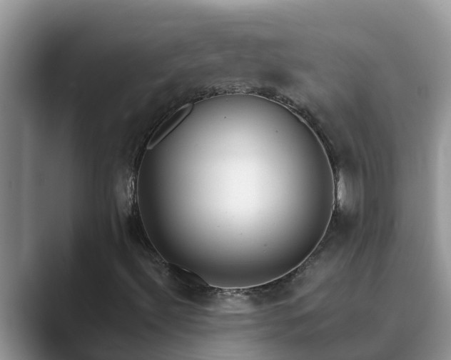 X0000089881492200707051200